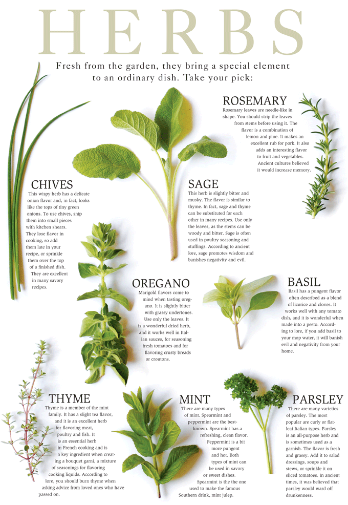 Fresh Herb Chart